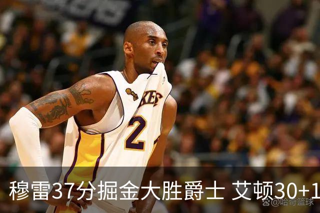 穆雷37分掘金大胜爵士 艾顿30+19开拓者胜猛龙
